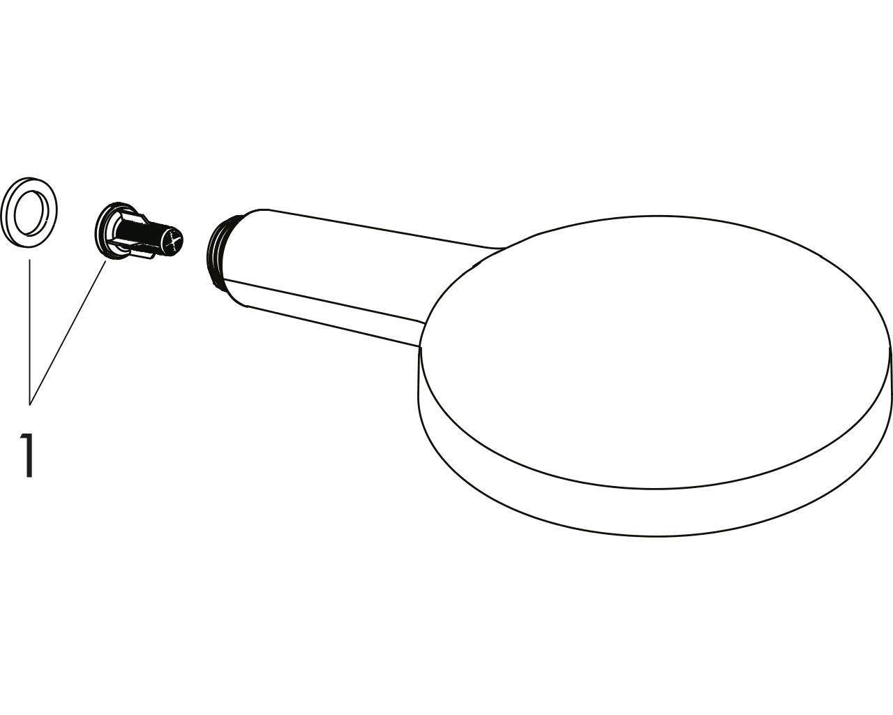 hansgrohe raindance select s120 handdouche w/ch afbeelding 1