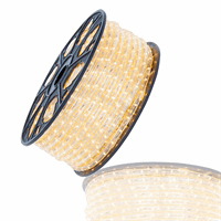 LED lichtslang warmwit 36 LED's 2.7W p/m 230V 50 meter 13mm inkortbaar per Meter 055-108 dimbaar