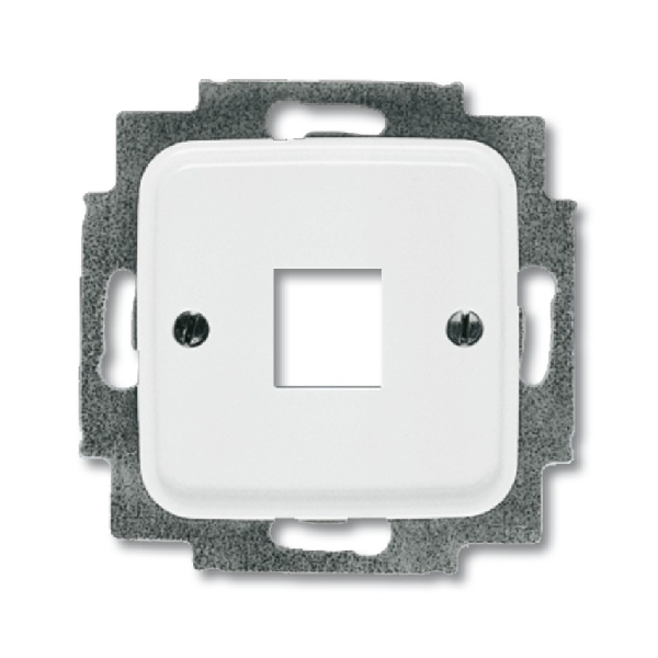 Busch-Jaeger Cpl+draagring 1x AMP (MJ Cat6A/Cat3) 2561-214 (2CKA001753A3833) afbeelding 2