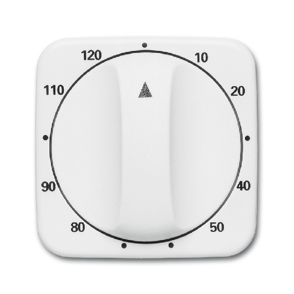 Busch-Jaeger Cpl+greep v 1071U 120min 1771-214-103 (2CKA001753A6315) afbeelding 2