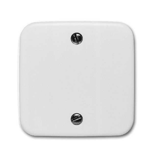 Busch-Jaeger centraalplaat voor trekschakelaar wit (2CKA001753A5788) afbeelding 2