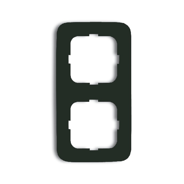 Busch-Jaeger Afdekraam 2v 2512-215 (2CKA001725A1066) afbeelding 2