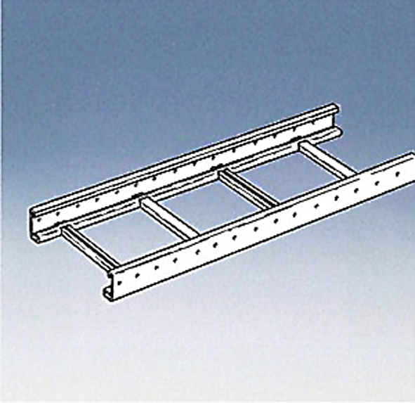 VAN GEEL 8311132 LADDERBAAN 200X60 SDZ 1=1M afbeelding 2