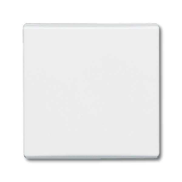 Busch-Jaeger Wip wis/2P en puls IP44 2106-32 (2CKA001731A1775) afbeelding 2