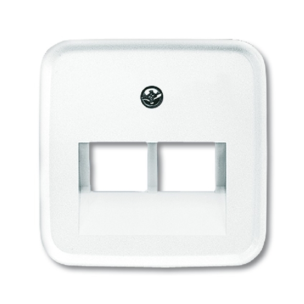 Busch Jaeger centraalplaat voor UAE aansluiting 2-voudig alpinwit (2CKA001753A8402) afbeelding 2