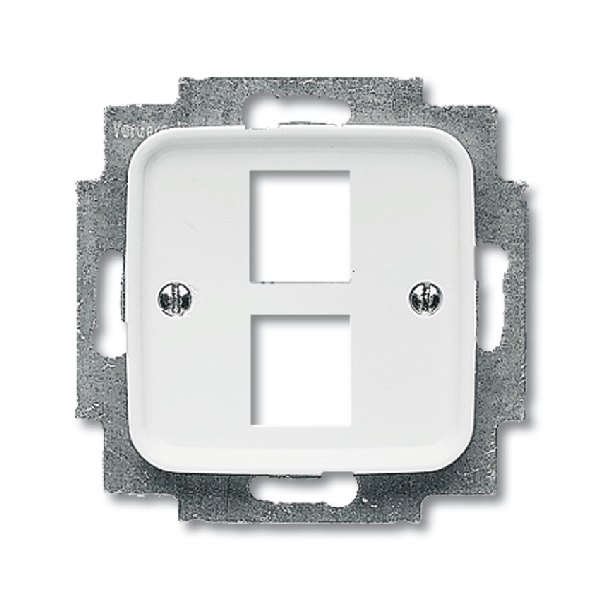 Busch-Jaeger Cpl+draagring 2x AMP (MJ Cat6A/Cat3) 2561-02-214 (2CKA001753A3965) afbeelding 2