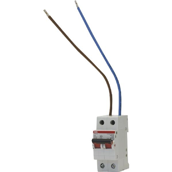 ABB HAF 0903.042-B TUIMELSCH 2P 40A INCL AANSLDR afbeelding 2