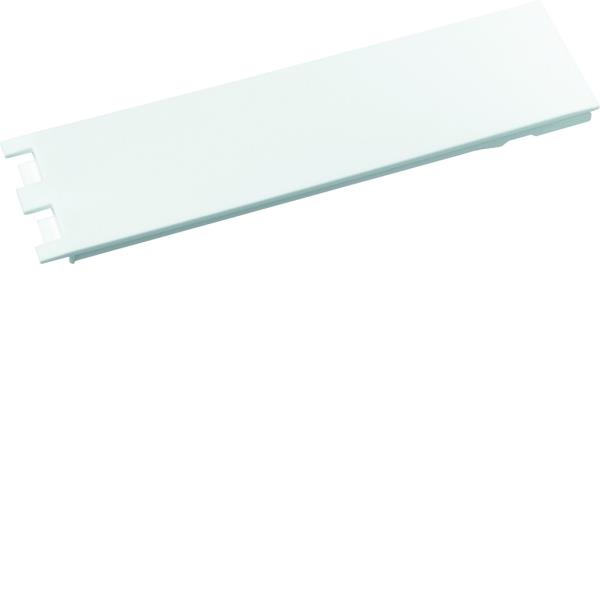 Hager Blindplaat 1xNH000 of 0,5xNH00 mesp.lastsch.strook UZ01Z6 afbeelding 2