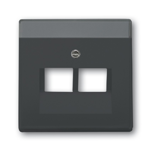 Cpl v datadoos 2x RJ45 1803-02-81 afbeelding 2
