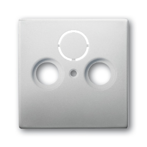 Busch-Jaeger inzetplaat CAI Pure Stainless Steel (2CKA001724A4271) afbeelding 2