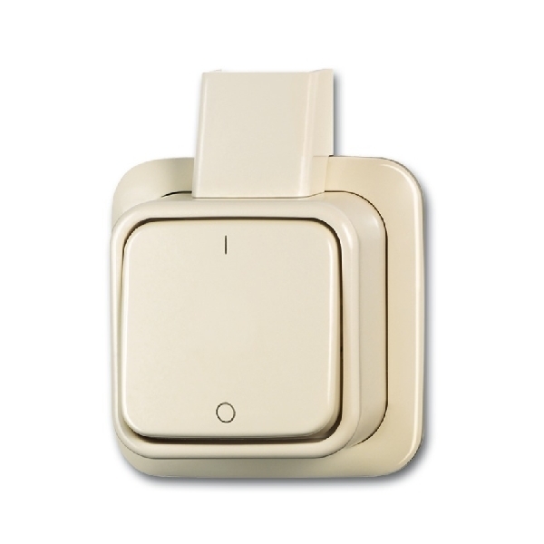 Busch-Jaeger 2-polige schakelaar opbouw creme (2CKA001042A1013) afbeelding 2