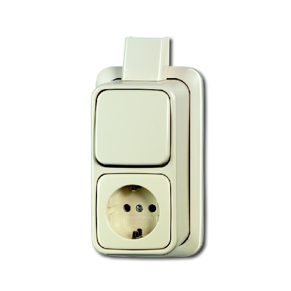 Busch Jaeger opbouw wisselcombinatie met randaarde creme (2CKA001641A0233) afbeelding 2