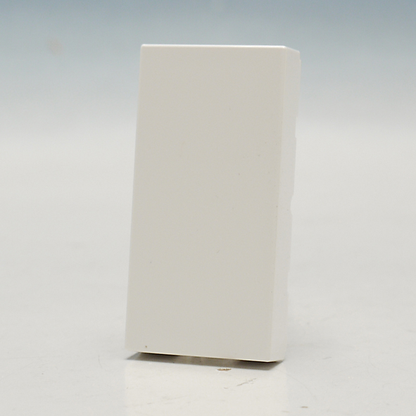 LEGRAND 077070 BLINDPLAAT 1 MOD afbeelding 2