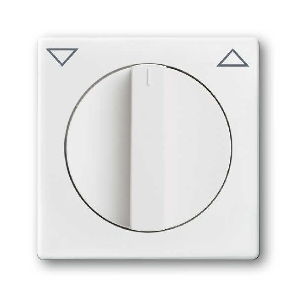 Busch-Jaeger centraalplaat 1740-84 studiowit (2CKA001710A3172) afbeelding 2