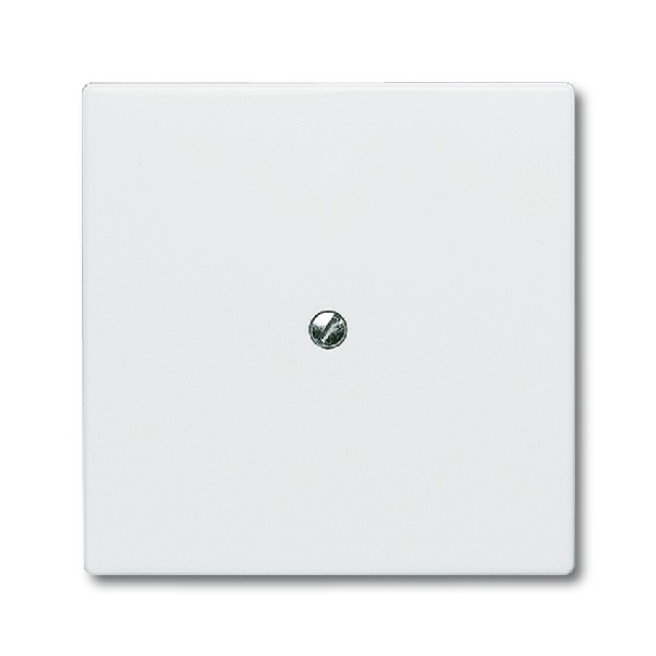 Cpl blind met draagraam IP44 AW 2138-34 afbeelding 2