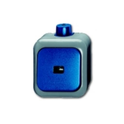 Pulsdrukker 1P + indicatie opb IP66 2621 WDI afbeelding 2