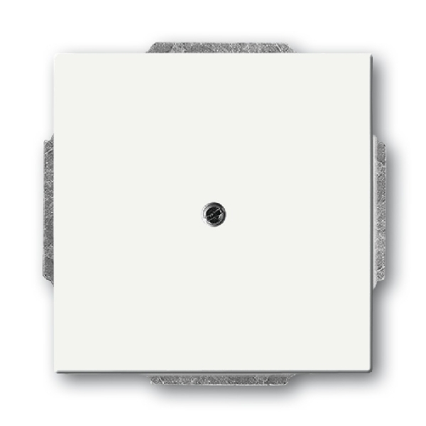 Busch-Jaeger blinde centraalplaat 1742-884 studiowit mat (2CKA001710A3873) afbeelding 2
