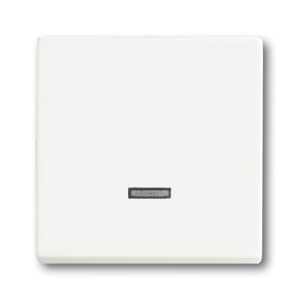 Busch-Jaeger bedieningselement 6543-884-101 studiowit mat (2CKA006599A2963) afbeelding 2