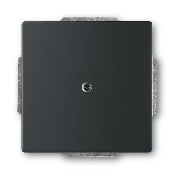 Busch-Jaeger blinde centraalplaat 1742-885 zwart mat (2CKA001710A3895) afbeelding 2