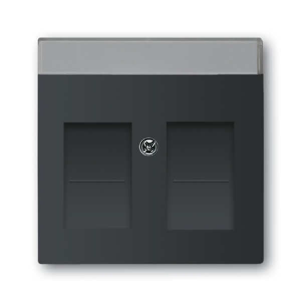 Busch-Jaeger centraalplaat 2-voudig voor UAE-datacontactdozen 1800-885 zwart mat (2CKA001710A3910) afbeelding 2