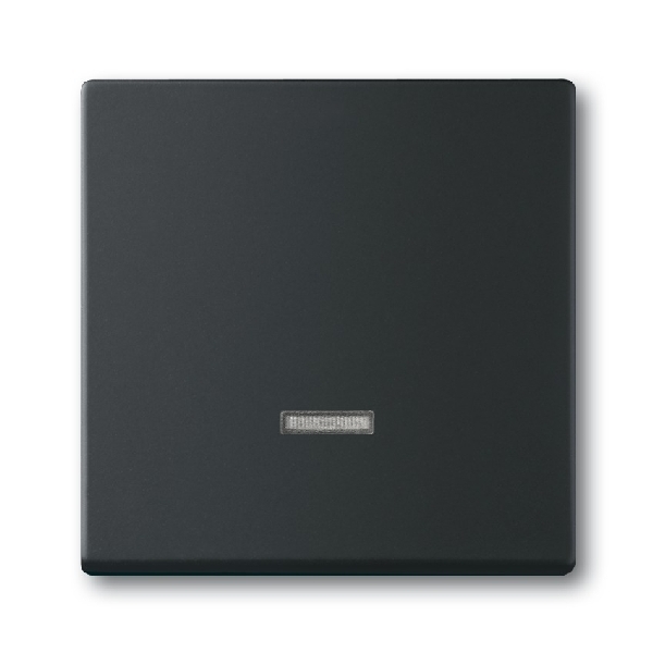 Busch-Jaeger bedieningselement tipdimmer met lampje 6543-885-101 zwart mat (2CKA006599A2968) afbeelding 2
