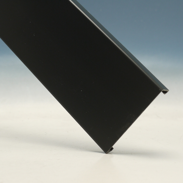 Deksel SL 20x80 RAL9011 zwart