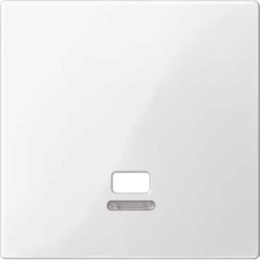 SCHNEIDER MTN3380-0319 CPL TBV TREKSCH SYSTM PWGLZ afbeelding 2