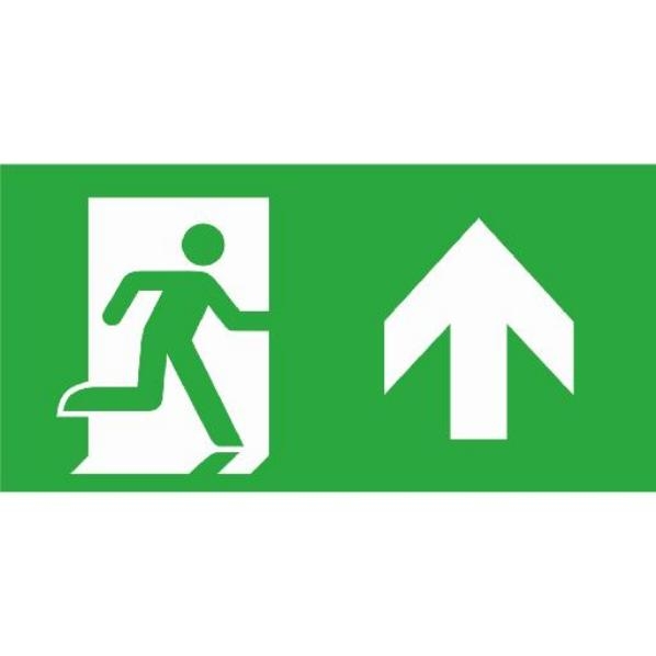 VAN LIEN P 51 PICTOGRAM ISO RECHTDOOR afbeelding 2