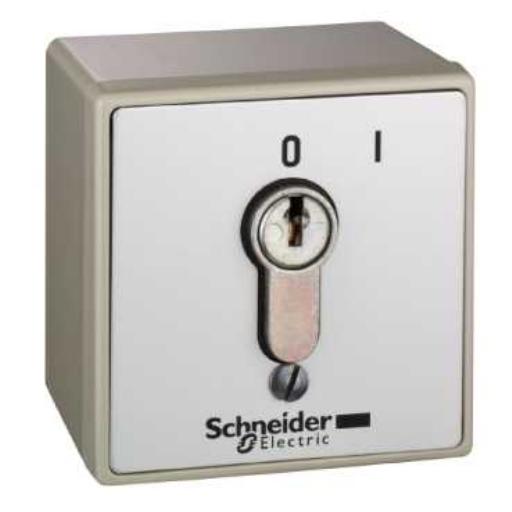 SCHNEIDER XAPS11111N INBRAAKVEILIG KASTJE afbeelding 2