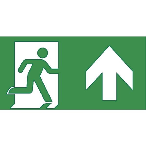 VAN LIEN PP 220/51 PICTOGRAMPLAAT OMHOOG afbeelding 2