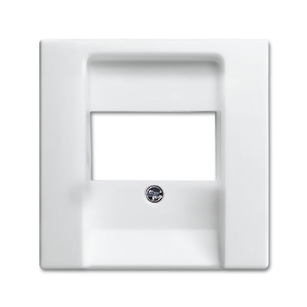 Busch-jaeger Centraalplaat tae in v 0247/0248 SI-B 2539 914 (2CKA001724A4333) afbeelding 2