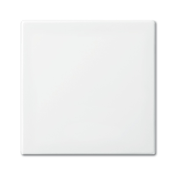 ABB Busch-Jaeger  SI-B Wip centraalplaat wissel/kruis/puls 1-voudig alpinwit 2506-914