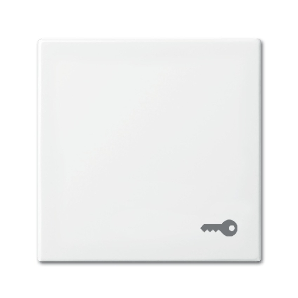 Busch-jaeger Wip puls sleutelsymbool SI-B 2520 tr 914 (2CKA001731A2012) afbeelding 2