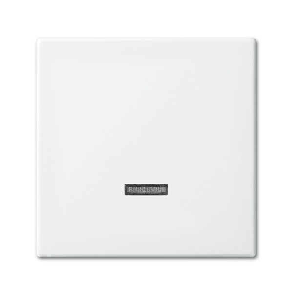 Busch-jaeger Toets 6550/60/93u/6401u SI-B 6543 914 102 (2CKA006599A3018) afbeelding 2