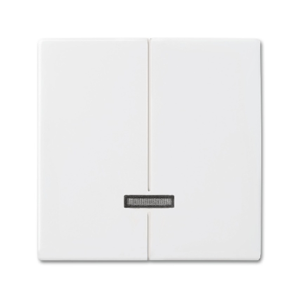 Busch-jaeger Toets seriedimmer 6565u SI-B 6545 914 (2CKA006599A3019) afbeelding 2