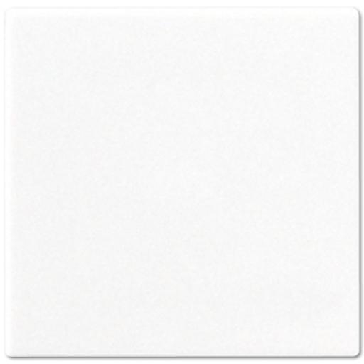 Blindplaat slv IP44 alpinewit A afbeelding 2