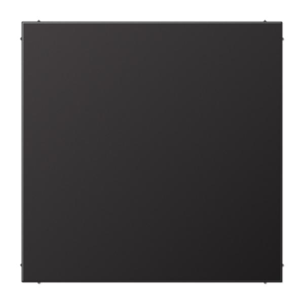 Blindplaat slv dark LS afbeelding 2
