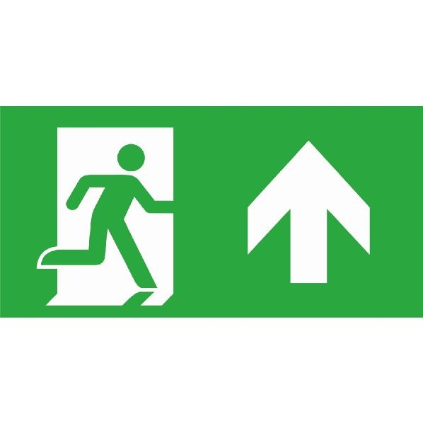 INTELIGHT E10-97997 PICTOGRAM RECHTDOOR