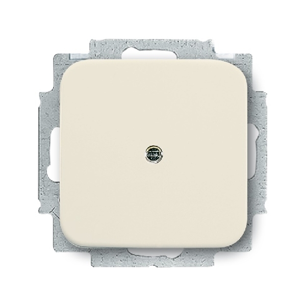 Busch-Jaeger blindplaat met inzet creme (2CKA001715A0218) afbeelding 2