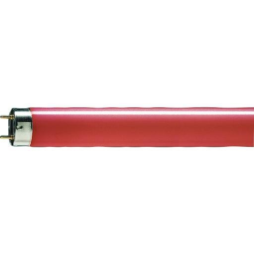 PHILIPS TLD36W15 TL BUIS 36W ROOD afbeelding 2