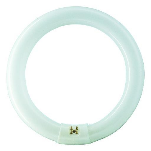 PHILIPS TLE32W840 TL BUIS ROND 32W 840 afbeelding 2