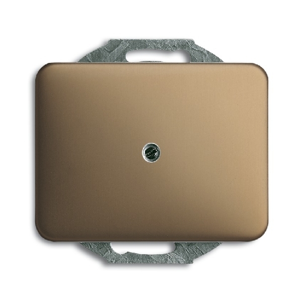 Busch-Jaeger blindplaat brons (2CKA001753A1431) afbeelding 2