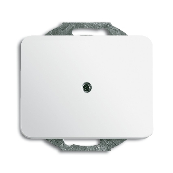 Cpl 1x uit zwakstroom boring 10mm 1749-24G afbeelding 2