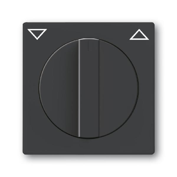 Busch-Jaeger centraalplaat 1740-81 antraciet (2CKA001710A3623) afbeelding 2