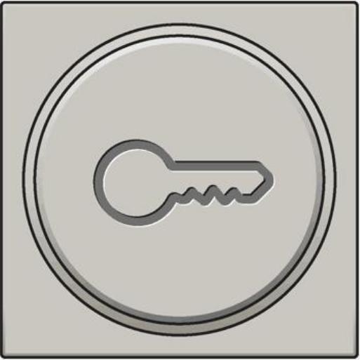 Cpl drukkn./ind.ring "Sleutel" symb 157-64009