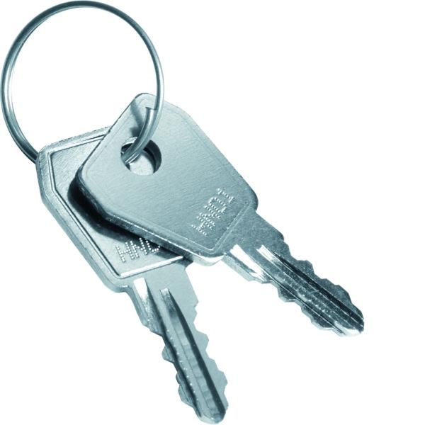 Hager Reservesleutels VPE=2 VZ304N afbeelding 2
