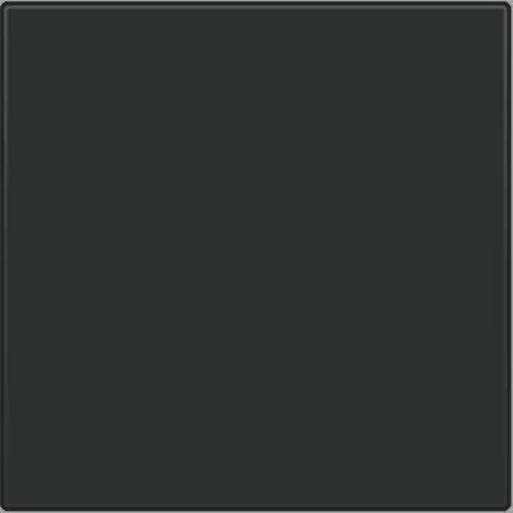 Cpl blindplaat m. kabeluitgang 161-76001 afbeelding 2