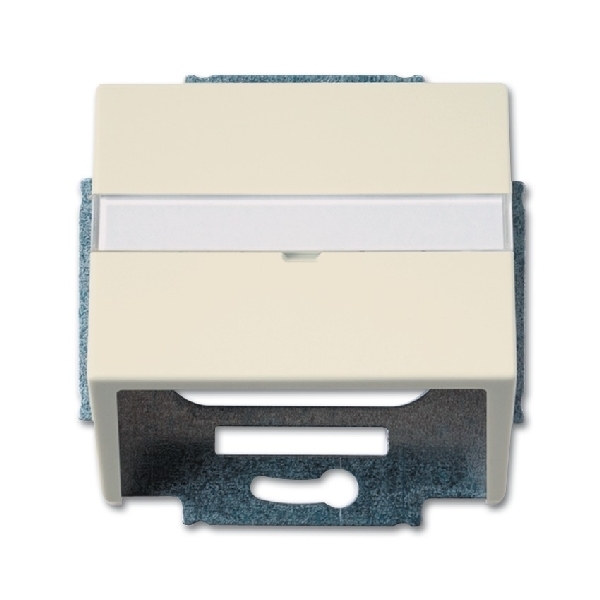 Busch-Jaeger centraalplaat 1758-82 ivoorwit (2CKA001724A2759) afbeelding 2