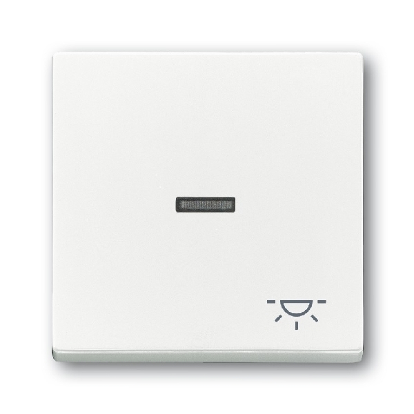 Busch-Jaeger bedieningswip 1789 LI-84 studiowit (2CKA001751A2753) afbeelding 2