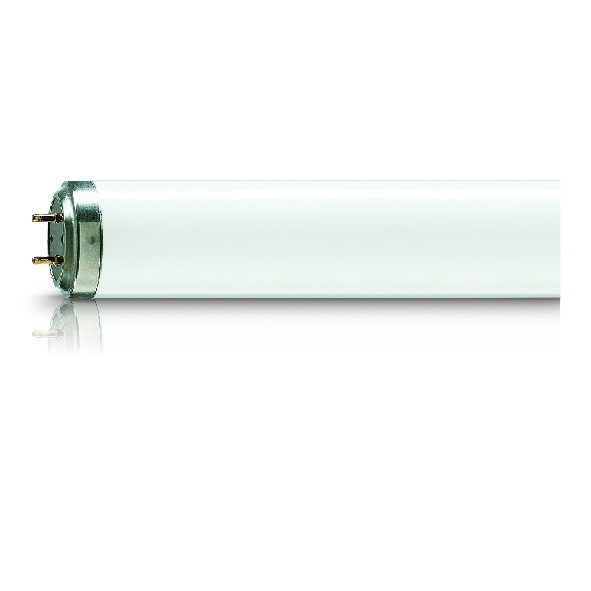 PHILIPS TL60W10R TL BUIS 60W10 R afbeelding 2